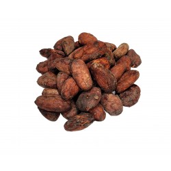 Fèves de Cacao Crues